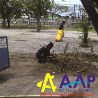 foto aap 6